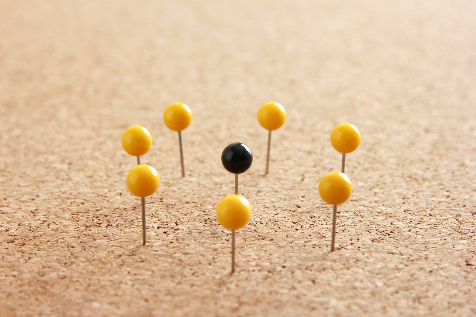 仮想通貨のハードフォークって?クラスの問題児と捉えよ!