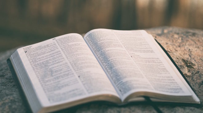 本は一冊だけ読むな!~並行読みがあなたの財産を形作る